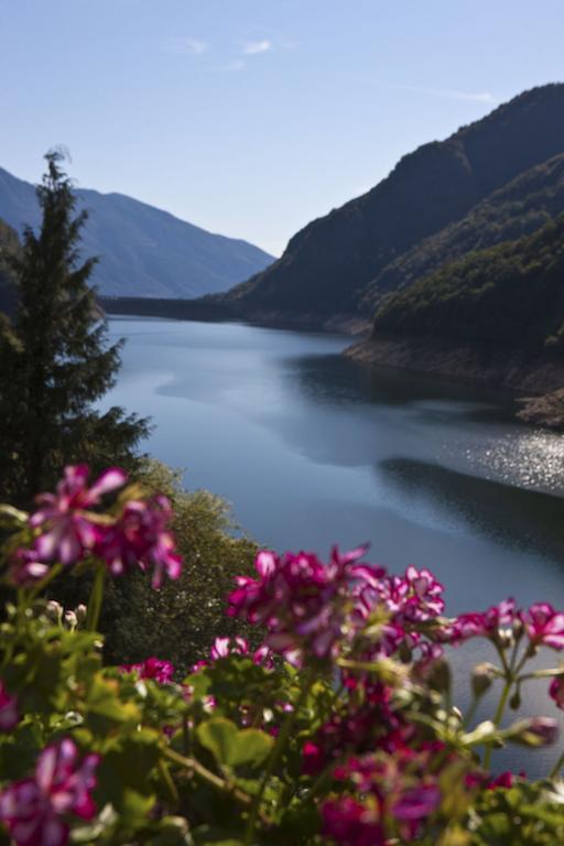 Hotel Al Lago Vogorno Eksteriør billede